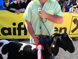 2019_ausstellung polling_645